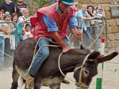 PALIO DELLA TONNA